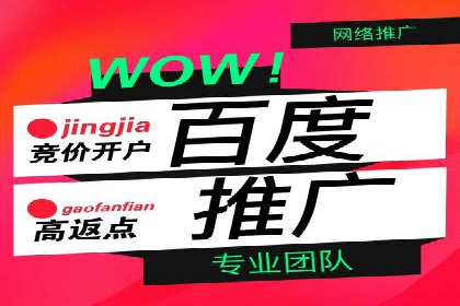 揭秘优秀SEM竞价代运营公司案例
